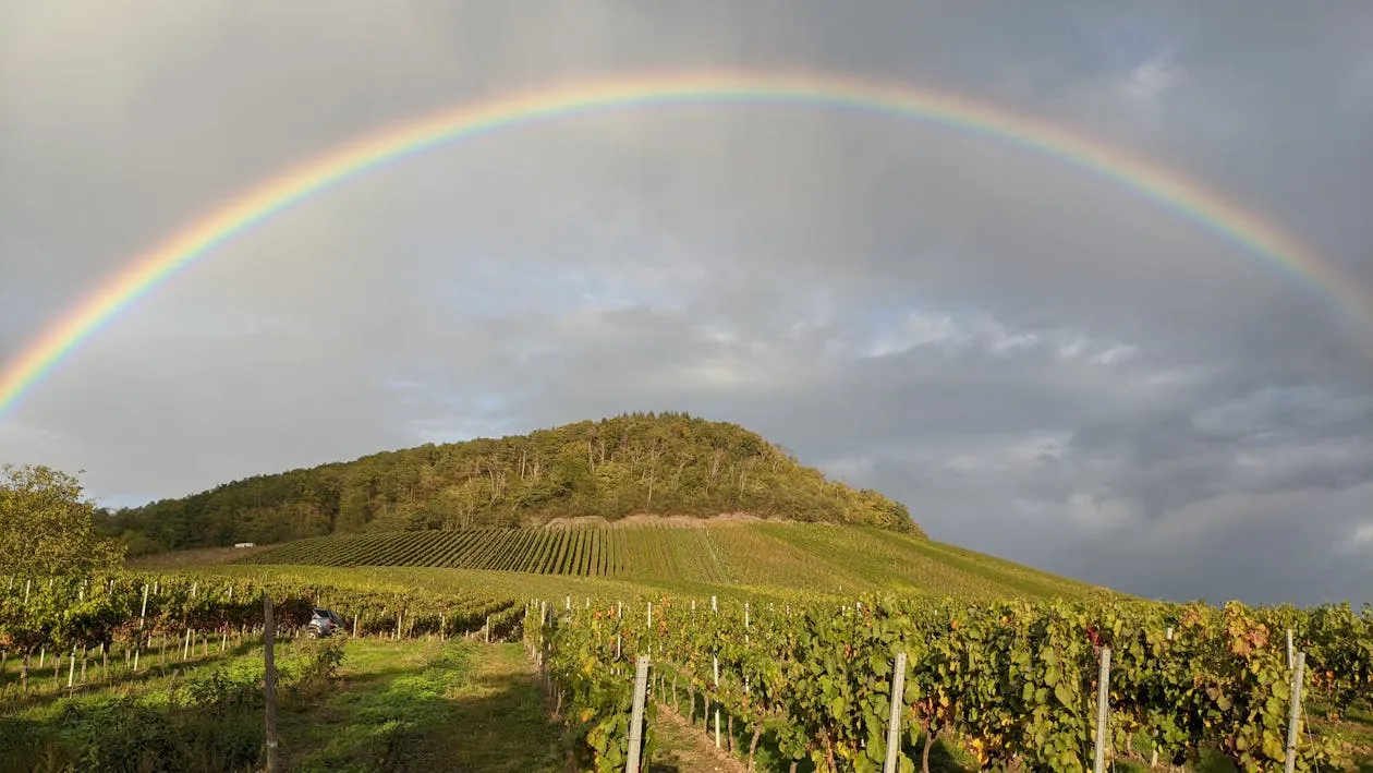 Cadre de vie de la résidence Le Clos des Acacias